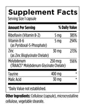 Load image into Gallery viewer, ZINC+ Designs For Sport